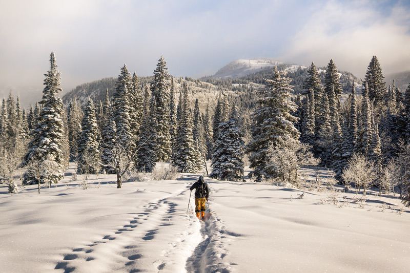加拿大森林雪景 风景图片 6000 × 4000 易点图网