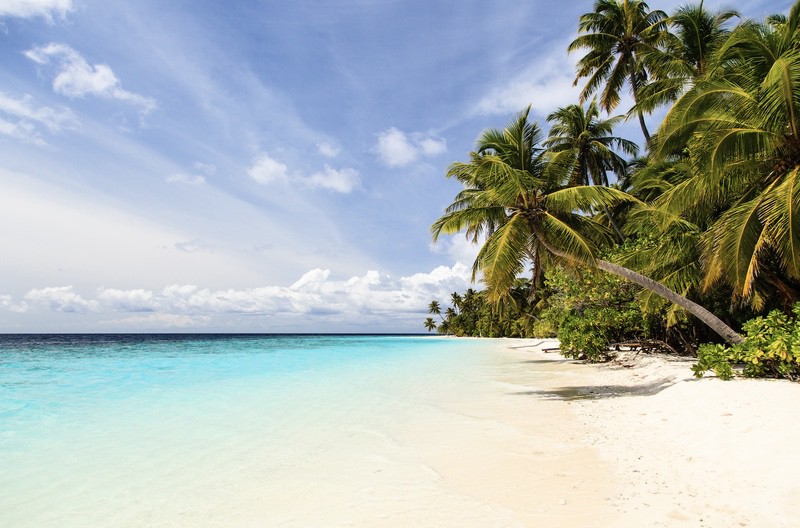 塞舌尔海岸沙滩 蔚蓝大海 椰树8k风景壁纸_易点图网