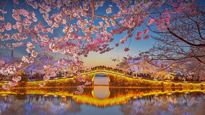无锡鼋头渚风景图片 樱花 4k壁纸3840 × 2160 易点图网