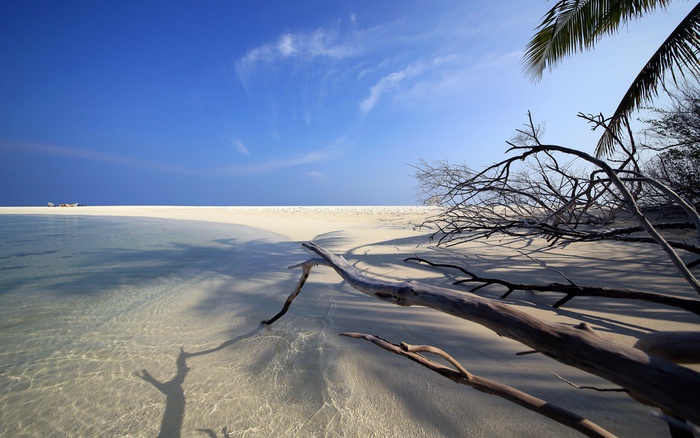 马尔代夫海边沙滩 4K超清壁纸图片_易点图网